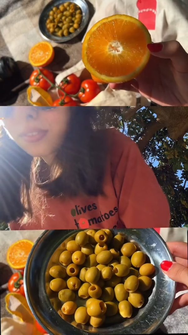 Picnic lifestyle video